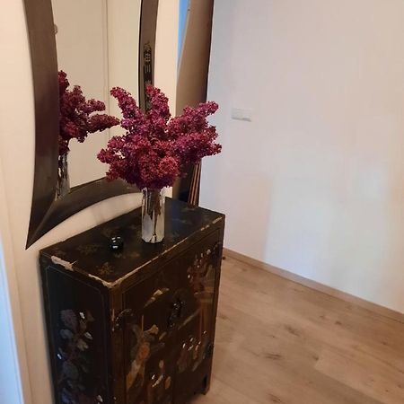 Schone Wohnung In Der Grazer Innenstadt Exteriör bild