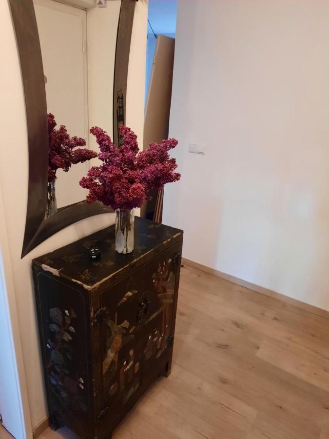 Schone Wohnung In Der Grazer Innenstadt Exteriör bild